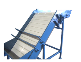 elevator for Kerian food sorting machine