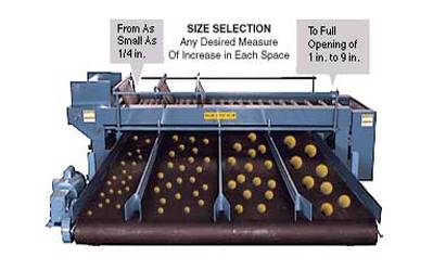 Kerian Sizer sorting various sizes of fruit illustrating possible settings of the rollers